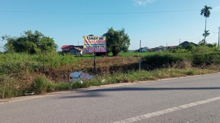 WhatsApp Image 2025-05-25 at 14.06