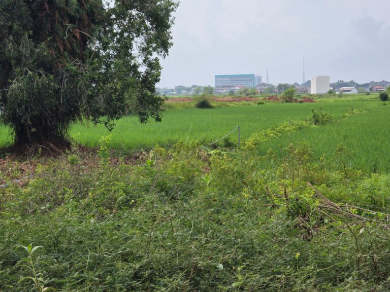 WhatsApp Image 2025-06-03 at 21.19